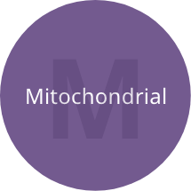 The letter 'M' Mitochondrial