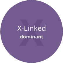 The letter 'X' X-Linked dominant