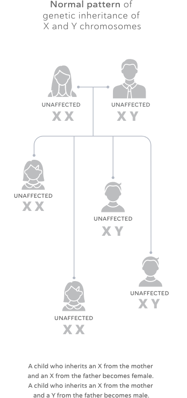 Inheritance of Hemophilia Chart