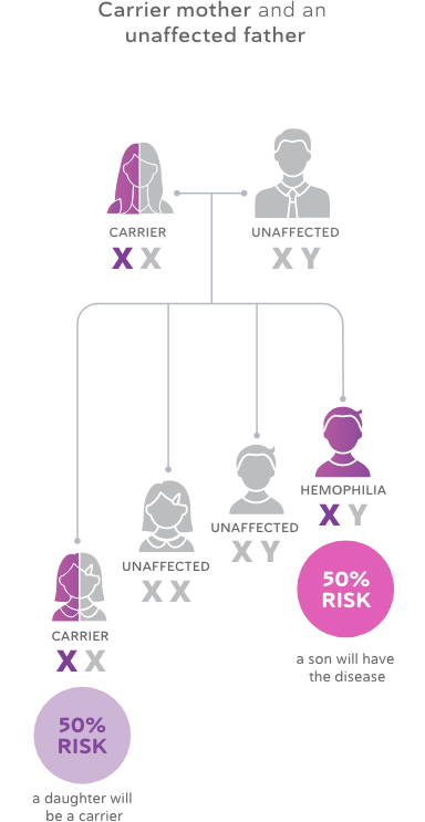 Inheritance of Hemophilia Chart