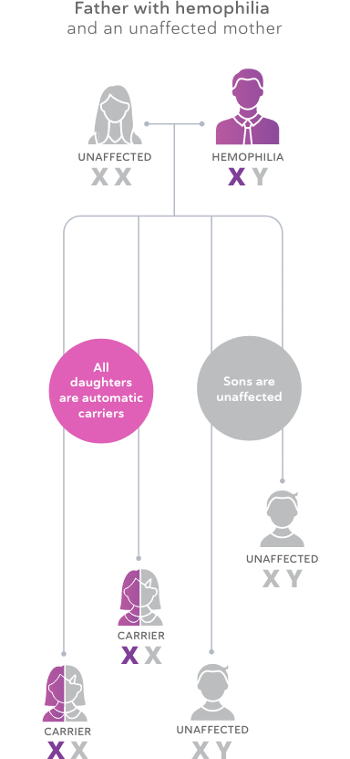 Inheritance of Hemophilia Chart