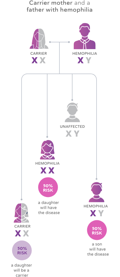 Inheritance of Hemophilia Chart