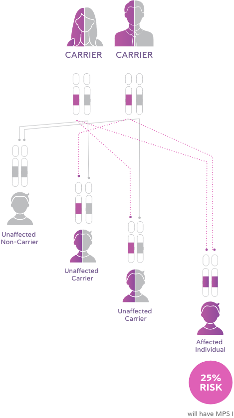 Inheritance of Hemophilia Chart