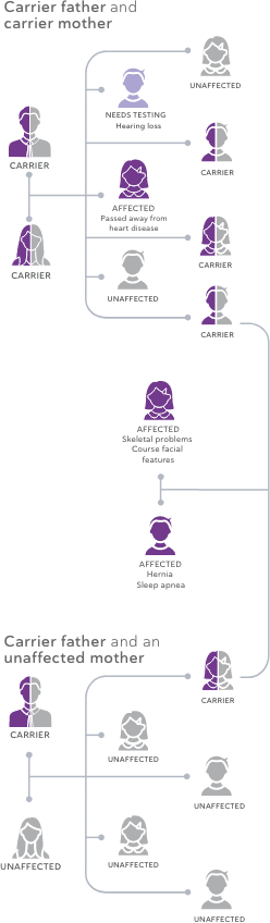 Example of a MPS I Medical Famiily Tree