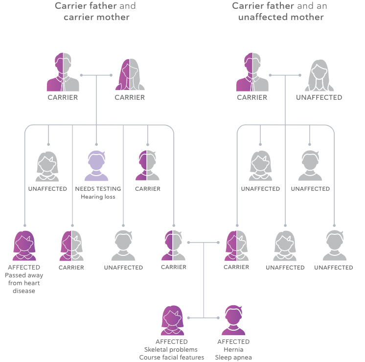 Example of a MPS I Medical Famiily Tree