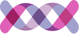 ribbon